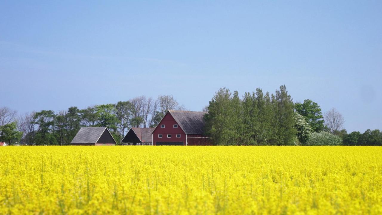 Vikens Bed And Breakfast Viken  Exterior foto